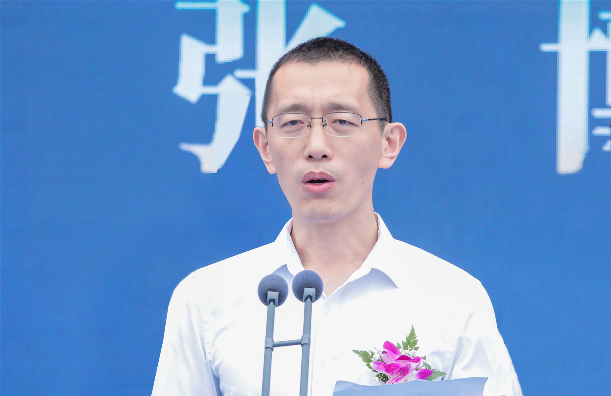 张博